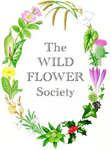 The Wild Flower Society
