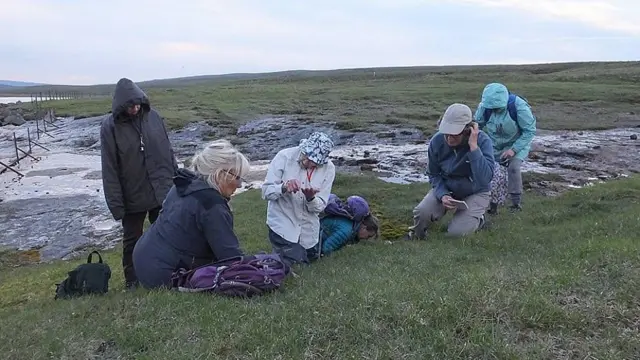 Bradshaw kneeling in the grass dialogues and teaches wildflowers to botanists and volunteers of the British Wildlife Society, Wild Flower Society, also crouched in the grass.